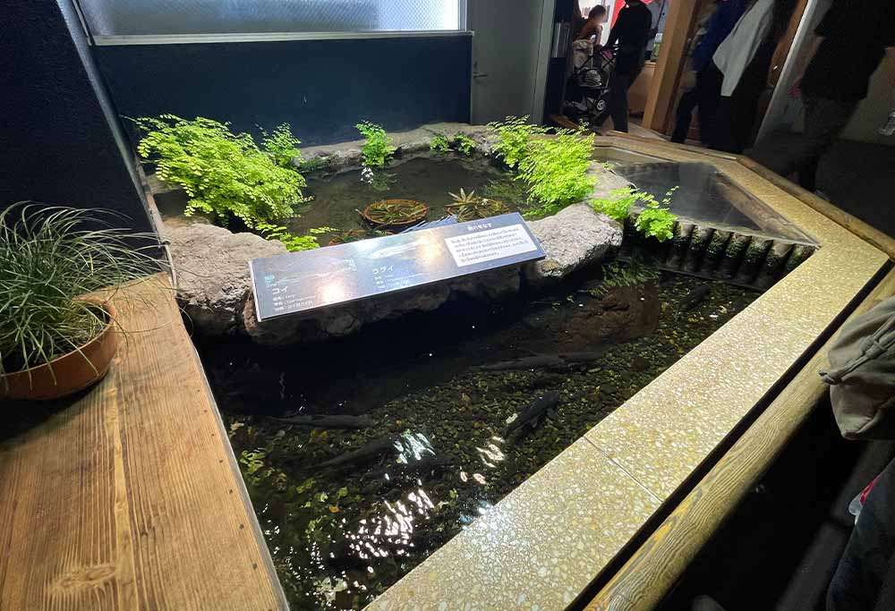 水生物館の写真