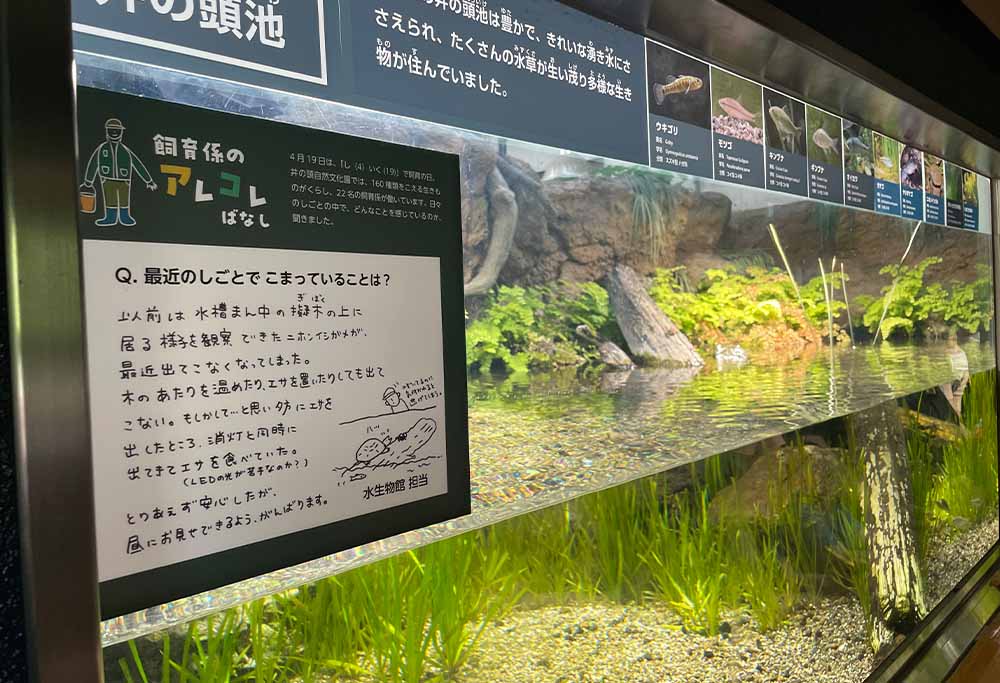 水生物館担当コメント写真