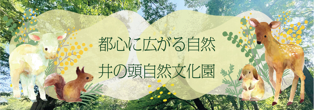 都心に広がる自然 井の頭自然文化園